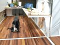 SLa01-SEMIPROD-LAMES-DE-PARQUET-1005-Photo-Jeremie-Koempgen-LT