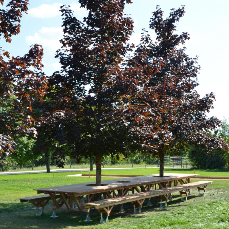 ATn01 – Table et bancs de nature