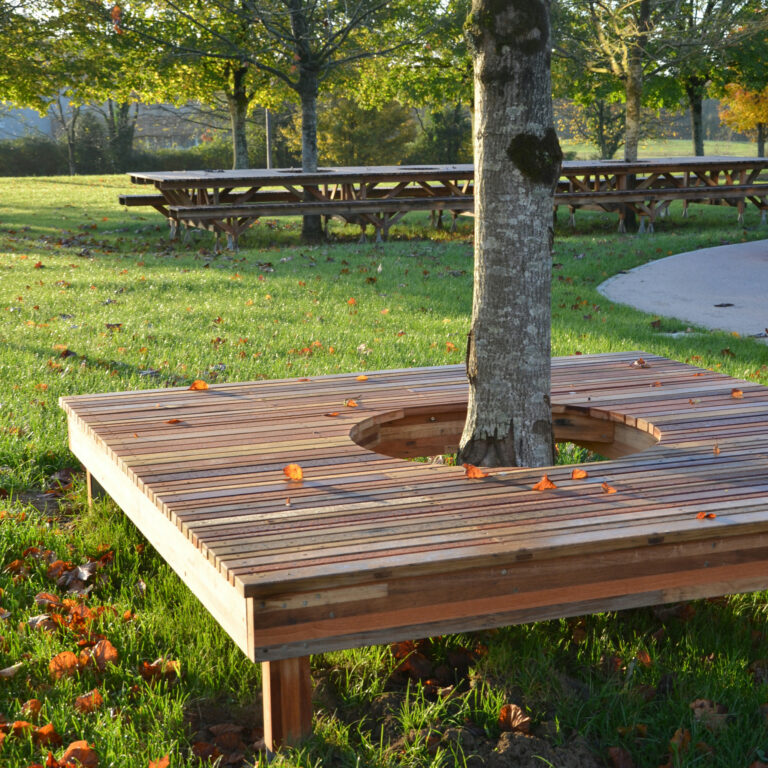 LPl03 – Plateforme arbre