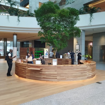 00-CARRE-IMG_20240830_104952-LT