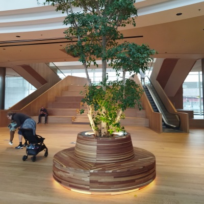 00-CARRE-IMG_20240830_105208-LT