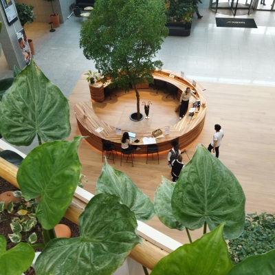 00-CARRE-IMG_20240830_110319-LT